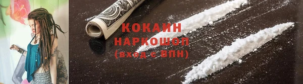 мяу мяу мука Беломорск