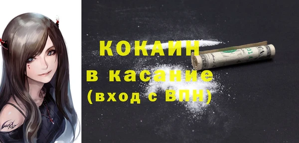 прущие грибы Богородицк