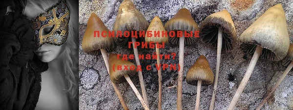 таблы Богородск