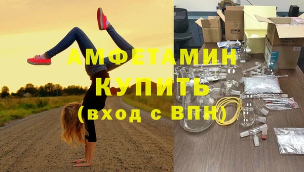 сатива Богданович