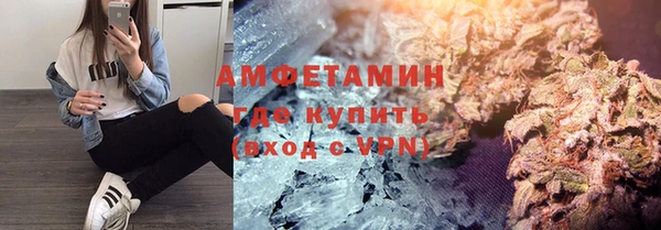 прущие грибы Богородицк