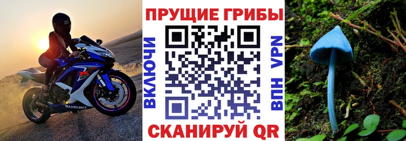 Псилоцибиновые грибы Cubensis закладки Буйнакск